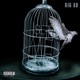 Set Me Free Single