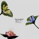 Blumen Single