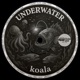 Underwater Single