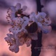 Forgotten Moments