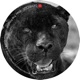 Omnipresent EP