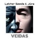 Veidas Single