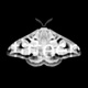 Emetic XV EP