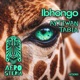 Ibhongo Single