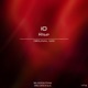 Rise Single