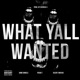What Yall Wanted feat Silent G Mr 843 Pusha T Single
