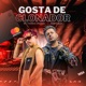 Gosta de Clonador Single