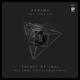 Theory of Love Remixes feat Ayden Vice Single