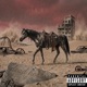 dead horse Single