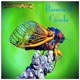 Cicada Single