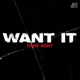 Want It DnB Edit Single