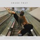Shake That feat Seth Dyer Zargo Single