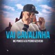 Vai Cavalinha Single