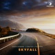 Skyfall Single