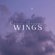 WiNGS Single