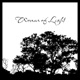 Woman of Light Single