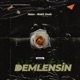Demlensin feat Bekir Gndz Single