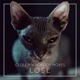 Lose Single