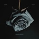 Graue Rosen Single