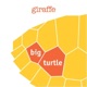 Big Turtle Single