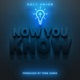 Now You Know feat Benjamin Paul Caroline Hood Fritsch Promise Chronicles Remix Single