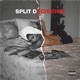 Split Decisions Single
