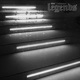 Legends Single