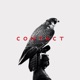 Contact Single