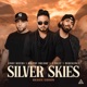 Silver Skies feat Vinny Rivera Bachata Version Single
