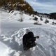 Top of Europe 2