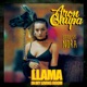 Llama In My Living Room feat Little Sis Nora Single