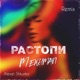 Растопи Alexei Shkurko Remix Single