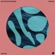 In bloom Single