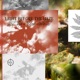 Light Before the Haze EP