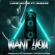 Want You feat Sneako Single