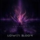 Lower Bloom Single