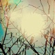 Golden Sun Single