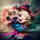 Losing Track of Time Single