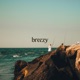 Breezy Single