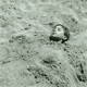 How I Fell