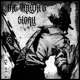 The Knight s Story Single