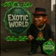 Exotic World Single