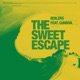 The Sweet Escape feat Gunnva Single