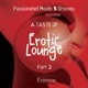 A Taste of Erotic Lounge Pt 3 Passionated Moods Grooves