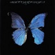 BUTTERFLIES Single
