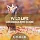 Wild Life Wondrous Epic Score