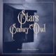Snowy Owl Benjamin Gibbard Remix Single