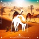 Take Me in Your Arms Single