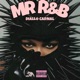 Mr R B