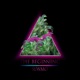 The Beginning EP